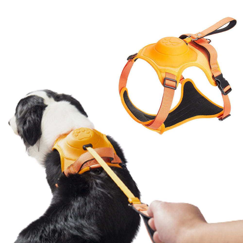 Reflective No-pull Dog Harness with Retractable Leash
