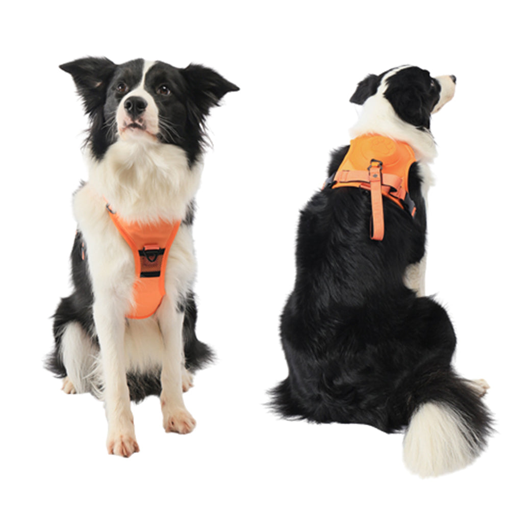 Reflective No-pull Dog Harness with Retractable Leash