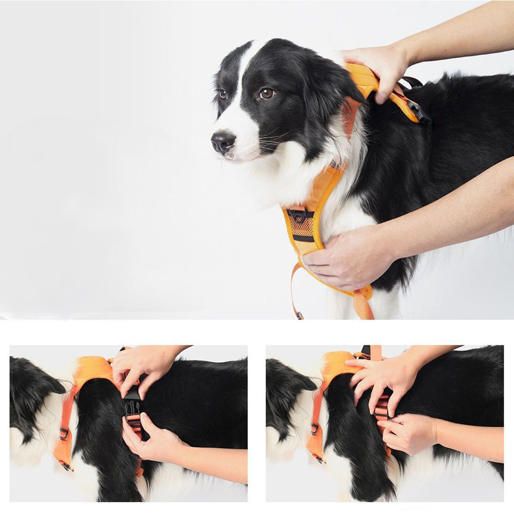 Reflective No-pull Dog Harness with Retractable Leash