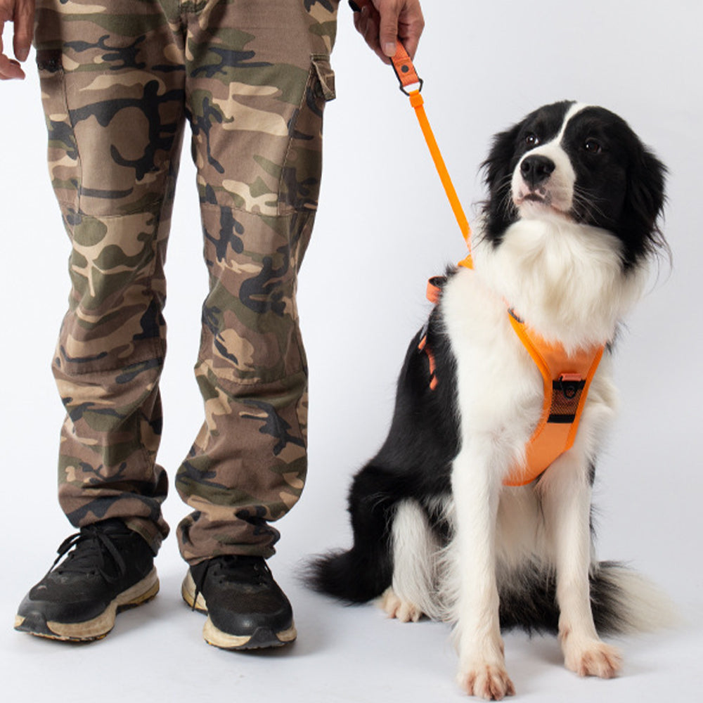 Reflective No-pull Dog Harness with Retractable Leash